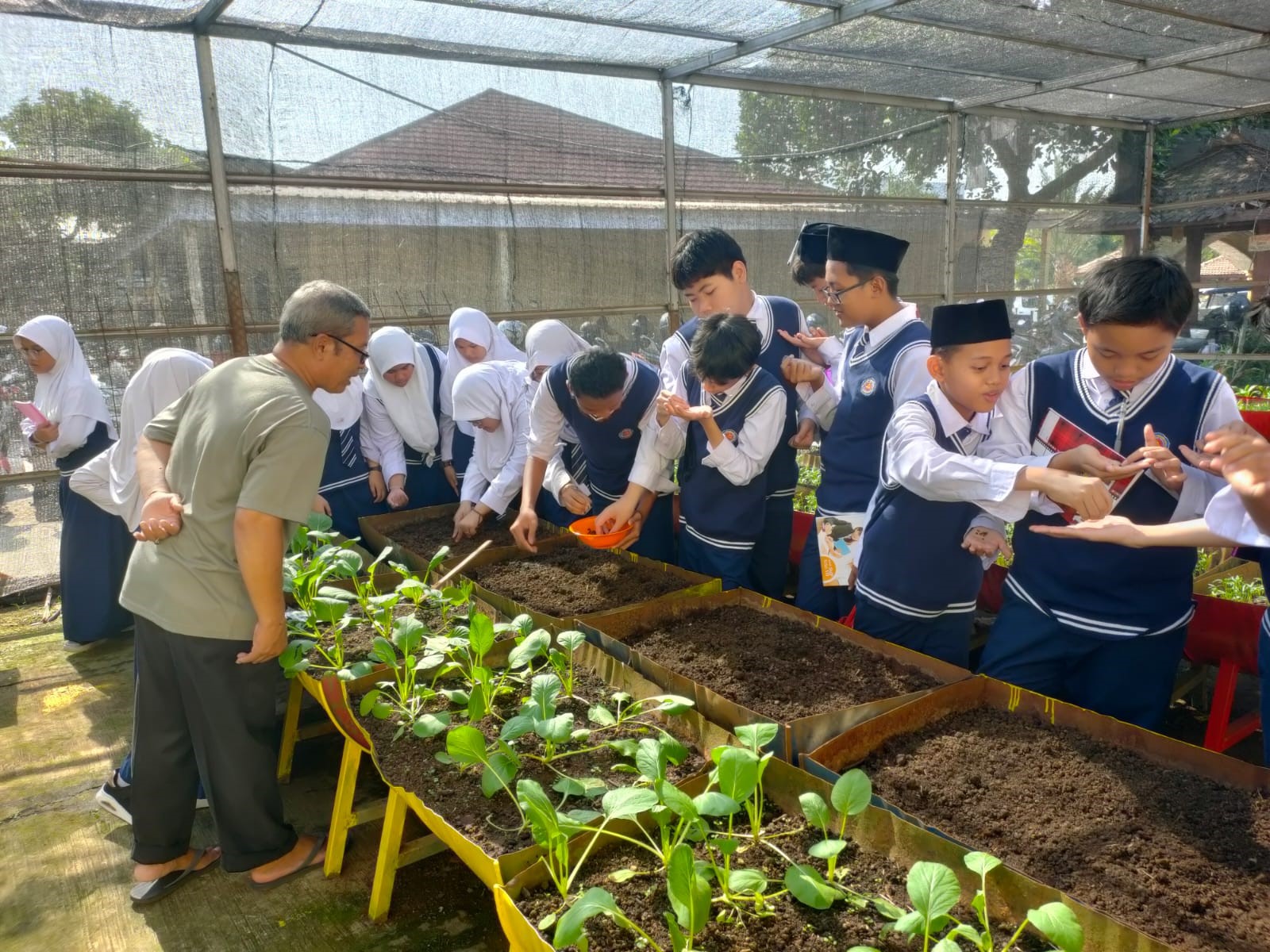 Program P3  (Pertanian, Perikanan, dan Peternakan) oleh Siswa SMP IT Al-Madinah