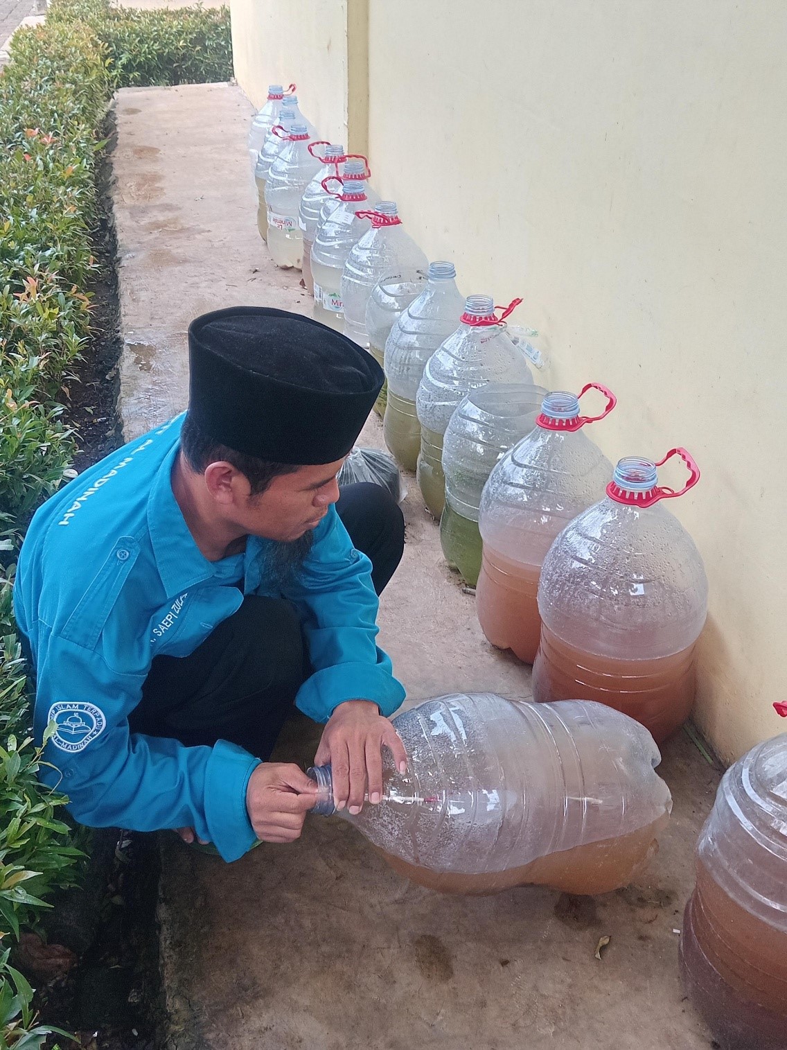 KEGIATAN PERIKANAN LELE DI SEKOLAH SUBSIDI PENUH (SP) SMPIT AL-MADINAH