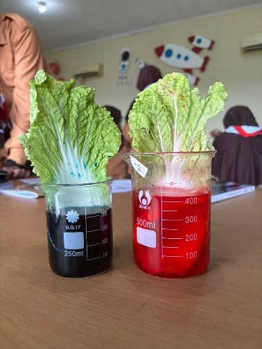 Inovasi Pembelajaran IPA di Sekolah Al-Madinah  Sekolah Ramah Anak, Islami, dan Unggulan