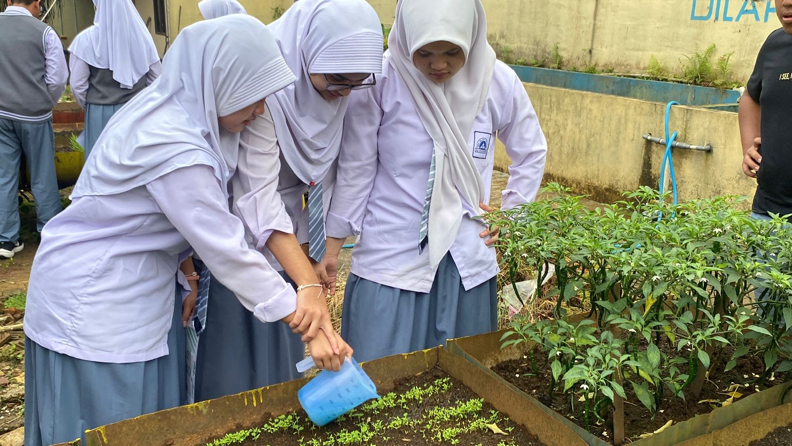 Perawatan Tanaman Pertanian