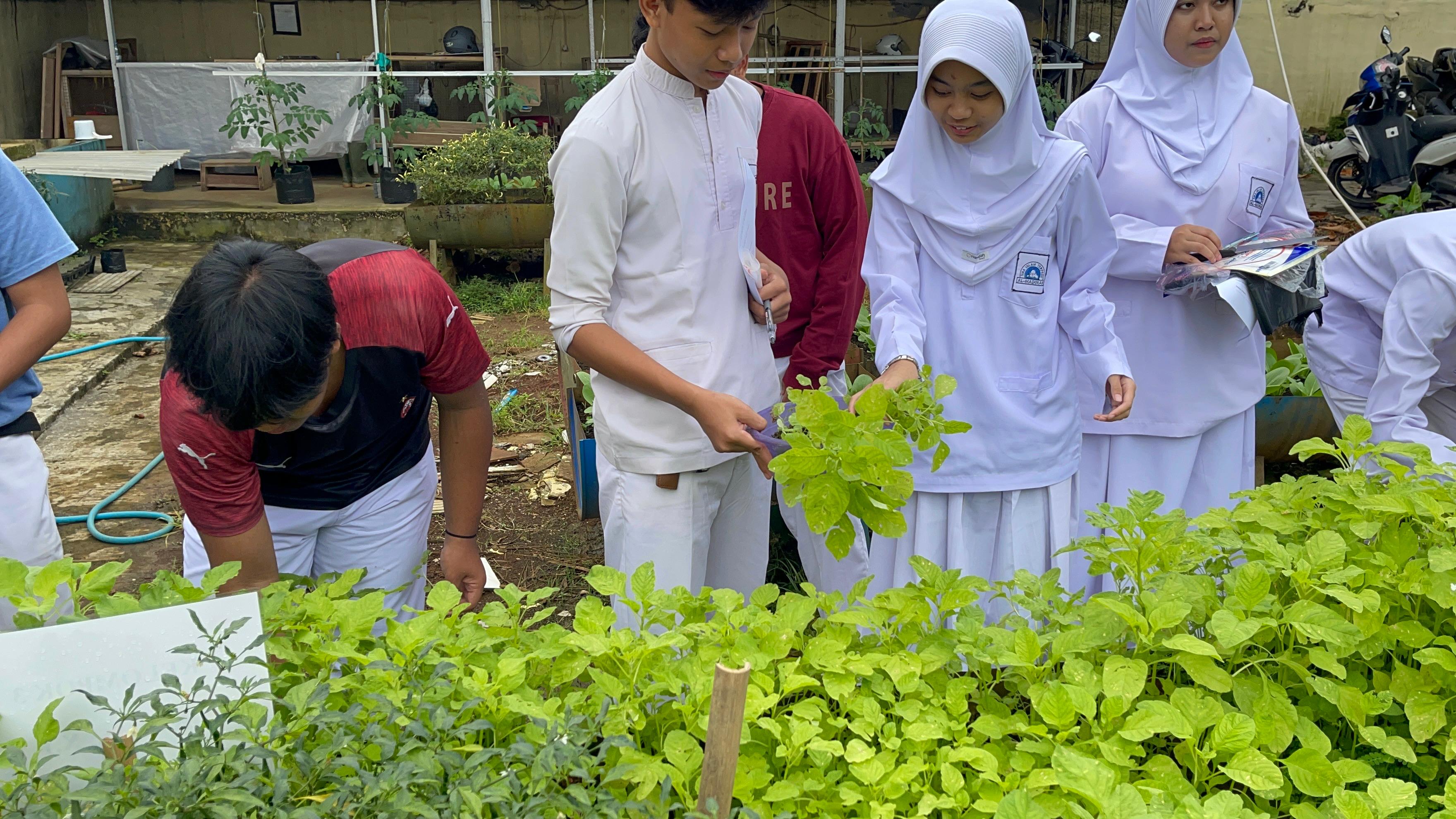 Kegiatan Panen Tanaman Pertanian 2